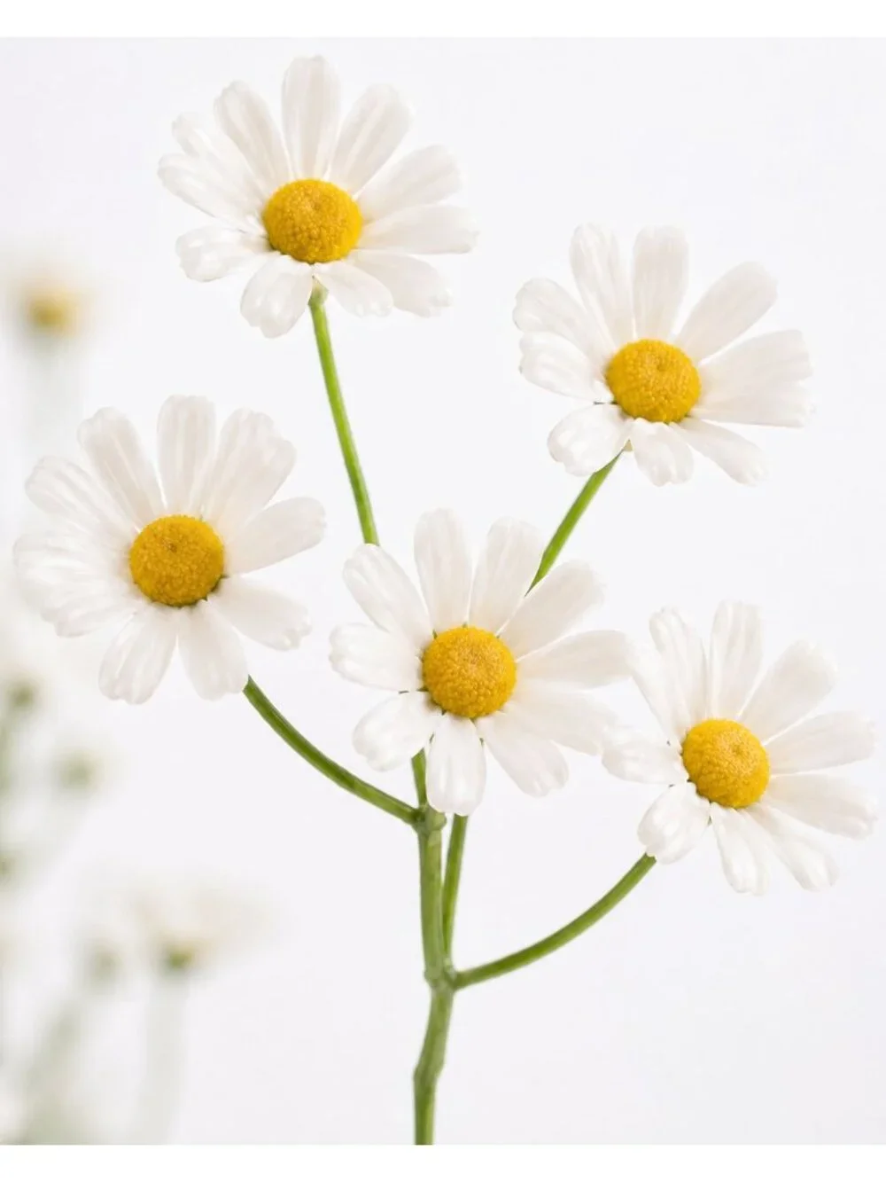 10 Artificial Daisy Stems White Daisy Spray Faux Wildflowers Small Daisy Flowers